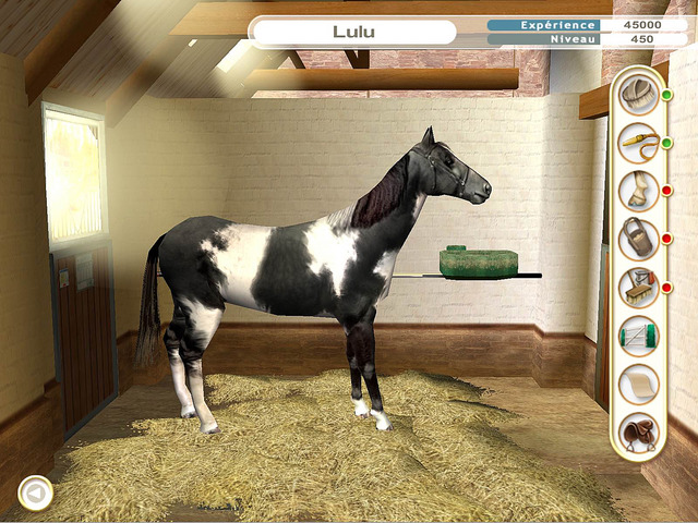 Alexandra Ledermann 5 L heritage du haras