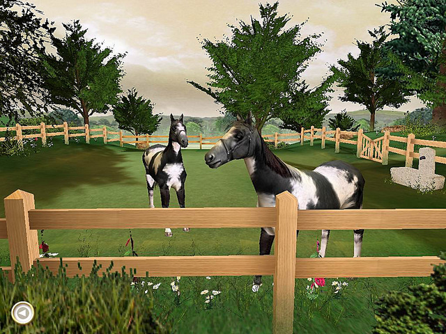 Alexandra Ledermann 5 L Heritage Du Haras