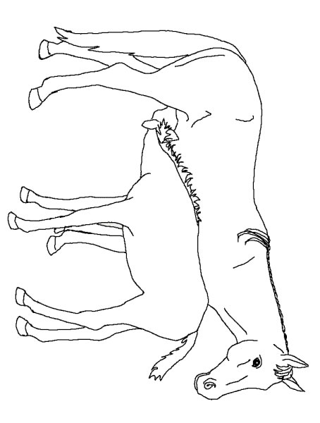 Louloudepomerany Page 5